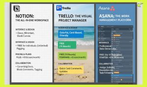 notion vs trello vs asana