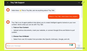 tiny Talk ai Review